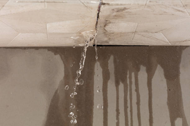 Professional Commercial Water Damage Restoration technician working in Seagoville, TX